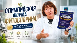 Чем обработать растения от фитофторы, парши и гнилей?
