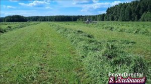 Косят и убирают траву на силос...