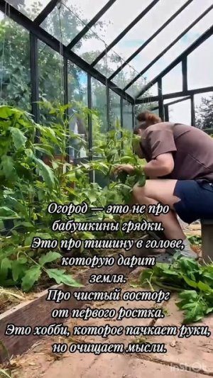 Согласен! Огород — это лучшая заземляющая терапия. 🌿