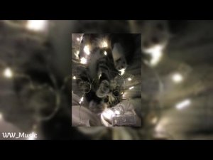 † Популярный плейлист песен из Тик Тока †