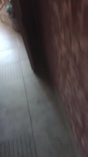 палю лицо