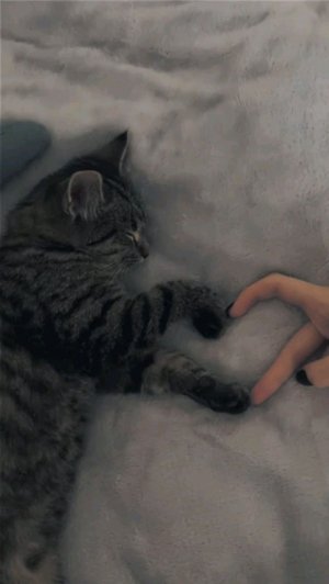 утречко