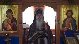 Схиигумен Гавриил Виноградов - Нам не даст войти в Царствие Небесное гордыня.