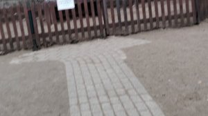 Помогали в Ярославском зоопарке загнать куриц в их домик