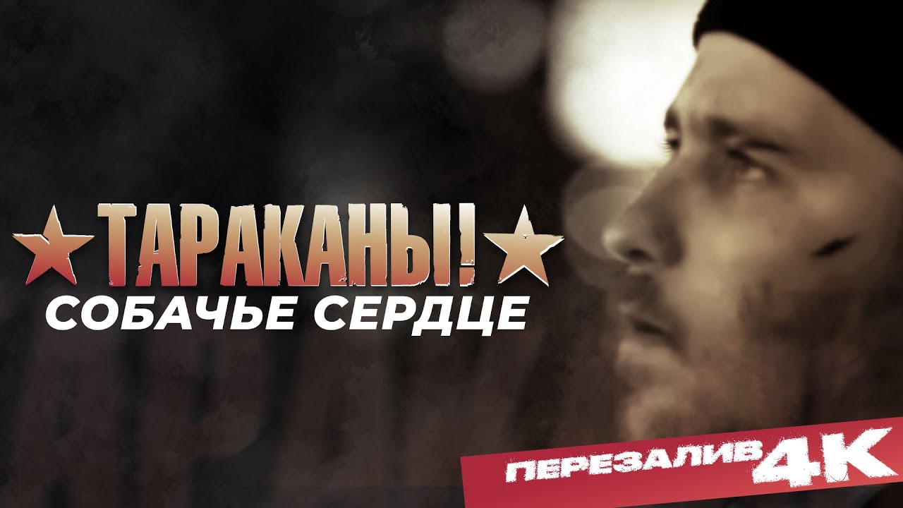 Тараканы! - Собачье сердце I Official Video, Upscale 4K, 2025