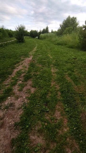 Муж любит порядок и за воротами.