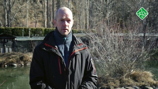Вся правда о норках. Анонс. Канал Зоо ТВ смотреть онлайн