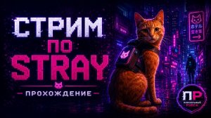 Stray: Неоновый след