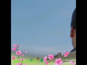 🌹 Бехтарин суханхои ошики барои💮 хамаи ошикон