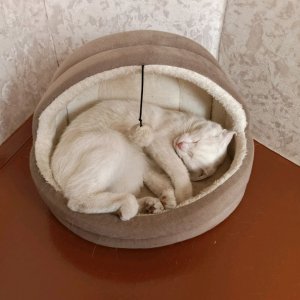 делаем что хотим (6 часть)