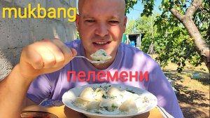МУКБАНГ ПЕЛЬМЕНИ С БУЛЬОНОМ/ОБЖОР/ЗАВТРАК НА ДАЧЕ/ЕДА НА ВИДЕО