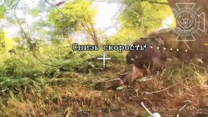 ГрВ Север зачищает лесопосадки от ж/с ВСУ в Харьковской обл