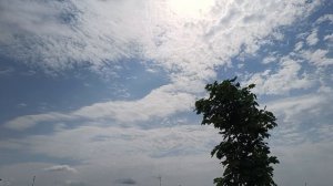 Прогулка в полдень ❣️✨👍