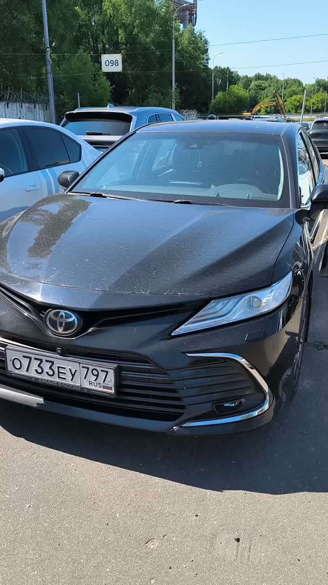 Camry, замер окраса