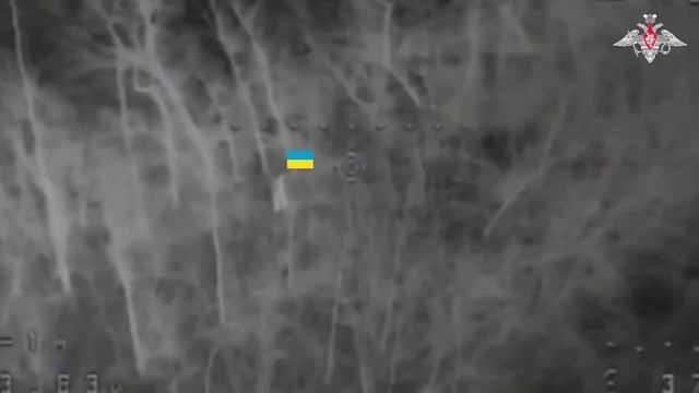 Группировка войск «Восток» освободила Александровку в Днепропетровской области смотреть онлайн