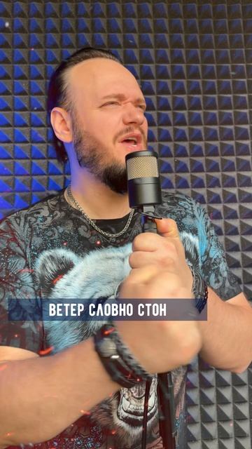 Valhalla calling Ragal Ironbull #романбобров #кавер #кавернарусском