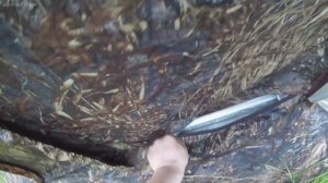 Кама закама.На берегу Камы отдыхаю.Шурпа в авганском казане, на костре,баня на берегу