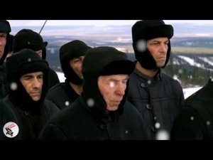 Арестантская доля   Дмитрий Волгин шансон