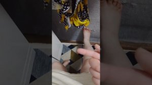 6375.mp4