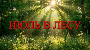 Июль в лесу