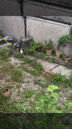 когда вам нужно будет поискать свою любимую квартиру по соседству