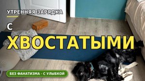 Утренняя зарядка с хвостами
