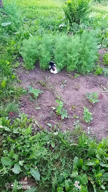Коротенькое видео, вечернее ☺️ смотреть онлайн