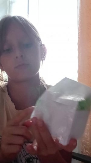сквиши