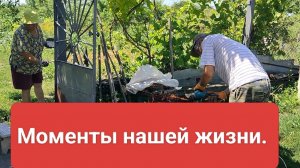 Красим, режем, варимся в собственном соку. Наша пенсионная жизнь.