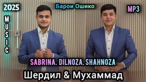Шердил ва Мухаммад Барои Ошико Суруди нав 2025