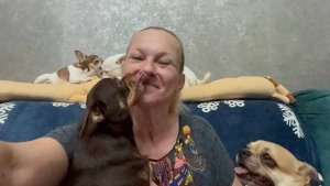 И смех и грех, Кошка с собаками зубы утащили.