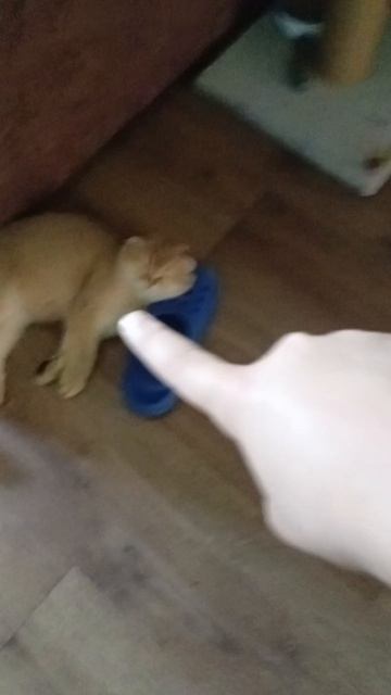 Мой Сэм спит 6