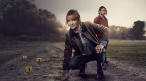 Гарри Уайлд - 5 сезон, 1 серия (2026) / Harry Wild