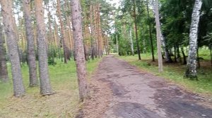 ЗВУКИ ПРИРОДЫ ЛЕТО 2026