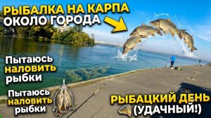 Рыбалка на карпа около города. Пытаюсь наловить рыбки. Рыбацкий день