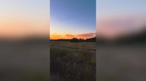 Закат Трава Блёстки Супер Хит