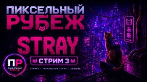 Stray: над неоновым городом. Стрим 3