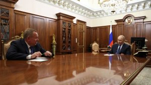 Владимир Путин встреча с главой Внешнеторгового банка Андреем Костиным, Кремль, 3 июля 2026 года