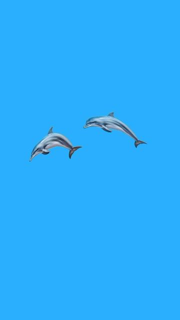 lДЕЛЬФИНЫЫЫ 🐬🐬🐬(переделала видео)