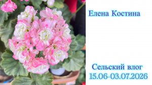 Сельский влог 20.06-03.07