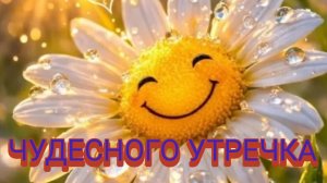 Чудесного летнего утра. Самая лучшая музыкальная открытка.