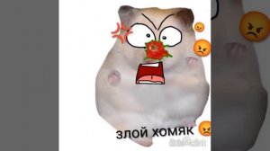 Злой хомяк и помидор