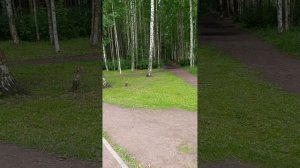 Мой замечательный отдых.🌿🌿🌿👍