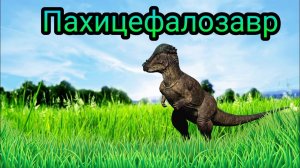 Динорассказы ) динозавр Пахицефалозавр )))