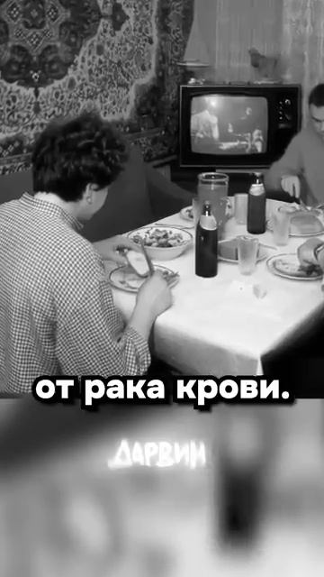 Цена одной потерянной капсулы