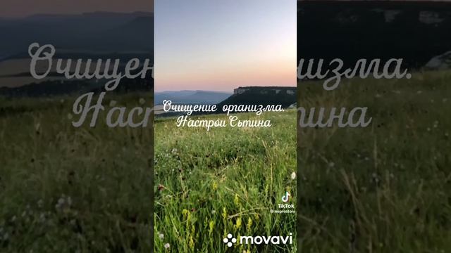 Очистка тела. Настрои Г.Сытина смотреть онлайн