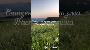 Очистка тела. Настрои Г.Сытина