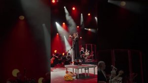 ⚡️«Мураками» - «Вали домой» (live), Москва, 29 ноября 2025, концерт с оркестром La Primavera.