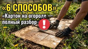 Зачем я тащу картон всю зиму? 6 хитростей, которые взорвут ваш урожай