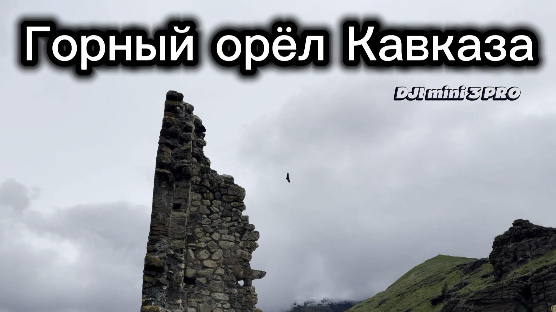 Горный орёл Кавказа смотреть онлайн